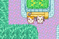 screenshots/Game Boy Advance/Hamtaro - Ham-Ham Heartbreak/Hamtaro - Ham-Ham Heartbreak (Eng) 015.png